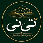 لوگوی تی‌نی